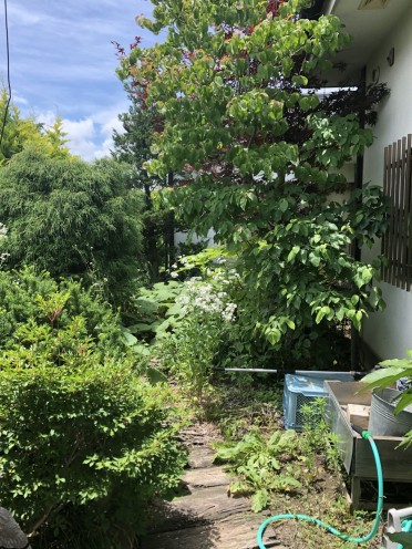 着手前 着手前